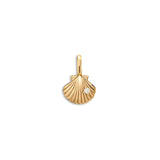 Seashore Treasure Shell Charm For Charm Holder Bead Chain